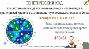 Л.22 | РЕАКЦИИ МАТРИЧНОГО СИНТЕЗА | ОБЩАЯ БИОЛОГИЯ ЕГЭ