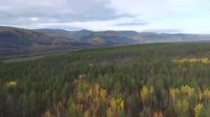 #бодайбо #бодайбинский #сибирь #север #иркутскаяобласть