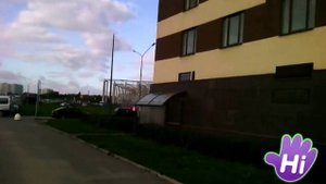 СПб, Санкт-Петербург, Кудрово, Ашан, МедиаМаркт