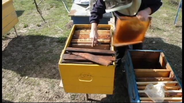 дезинфекция улья, паяльной лампой смотреть онлайн