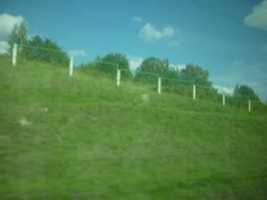 Вид из окна поезда, Москва -- С-Петербург.