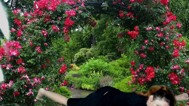 Стройнеем легко смотреть онлайн