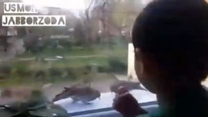ФАРХОДИ ДАРЁ (ИН ГАМ ГУЗАШТАНИС) КАРОНАВИРУС