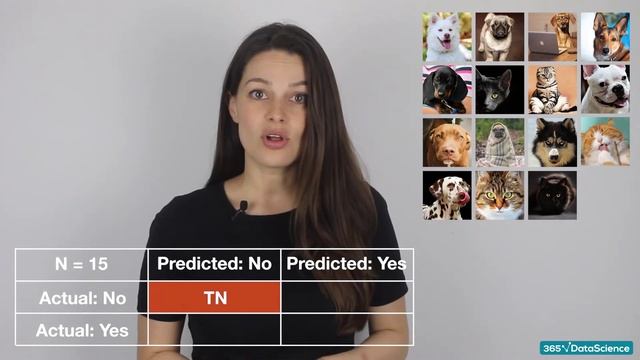 What is a Confusion Matrix?