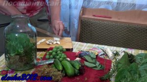 Консервация огурцов с аспирином и виноградом