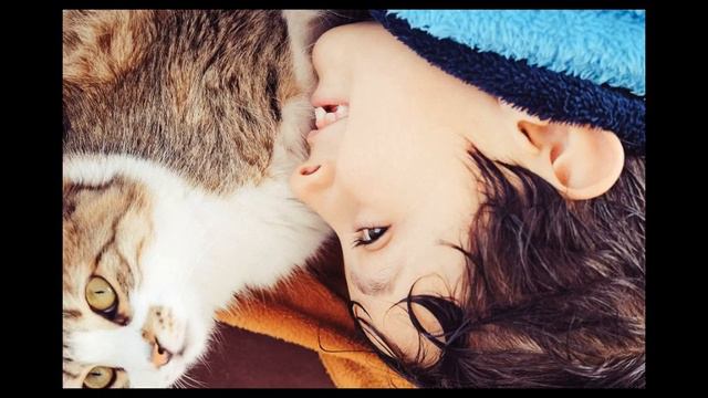 Животные в доме - урок заботы и ответственности смотреть онлайн