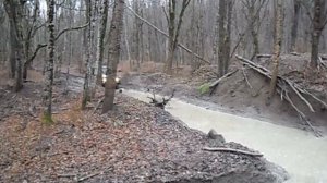 УАЗ offroad - покатушки (дорога там, где есть направление).mp4