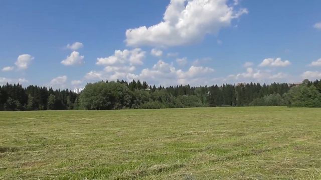 самолёт Cessna 182 (WLtoys f949) смотреть онлайн