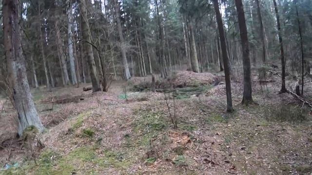 В поисках лесных землянок смотреть онлайн