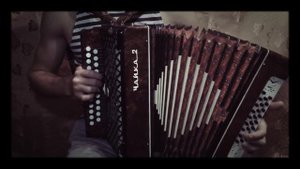 С. Кирюшкин - Казачья Сектор Газа (кавер на гармошке)