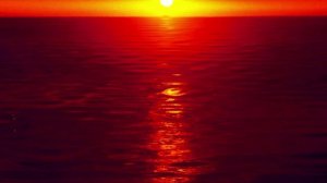 Антон Масленников  "Пламенное сердце" (музыка Александра Бончука, слова Ирины Скибиной)