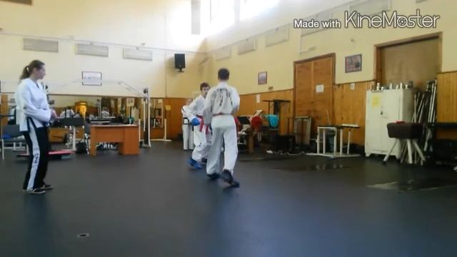 Экзамен по таэквондо смотреть онлайн