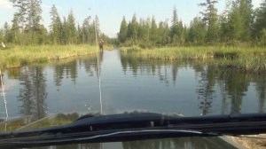 2018. Старый Колымский тракт. Лужи #Колыма #Kolyma #RoadOfBones