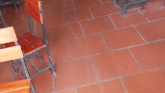 E Hiệu vĩnh phúc học nghề quay lợn|Teaching the profession of roasting pigs around the world смотреть онлайн