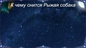 К чему снится Рыжая собака (Сонник)