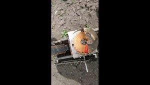 Сеялка кукурузная