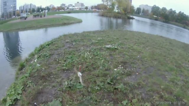 Санкт-Петербург щука на воблеры 5 декабря 2020 смотреть онлайн