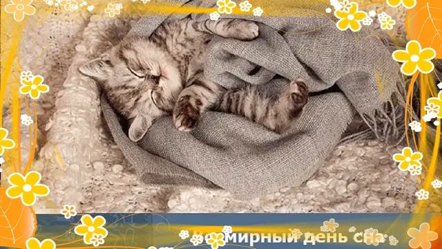 Сегодня всемирный день сна ? смотреть онлайн