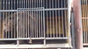 Поход в Зоопарк "Леон"