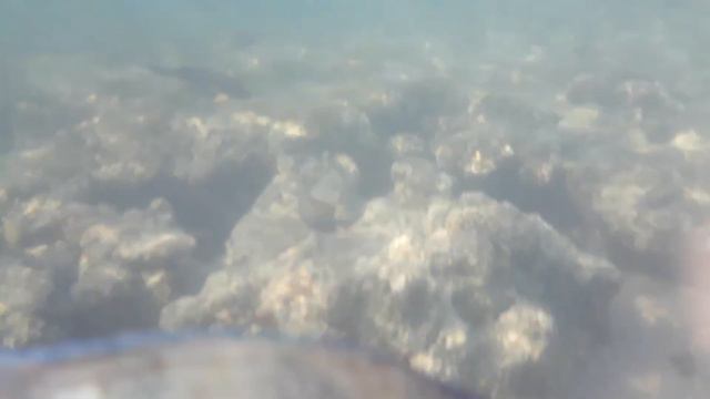 Шарм эль Шейх