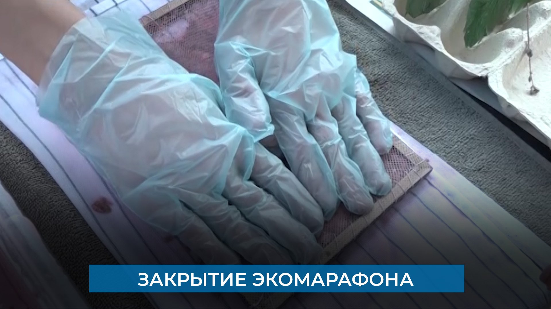 Закрытие экомарафона