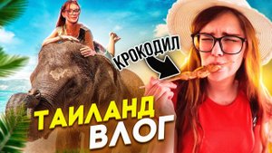 ПОПРОБОВАЛА КРОКОДИЛА, ПОКАТАЛАСЬ НА СЛОНЕ  ️ВЛОГ ИЗ ТАИЛАНДА (ПАТТАЙЯ)