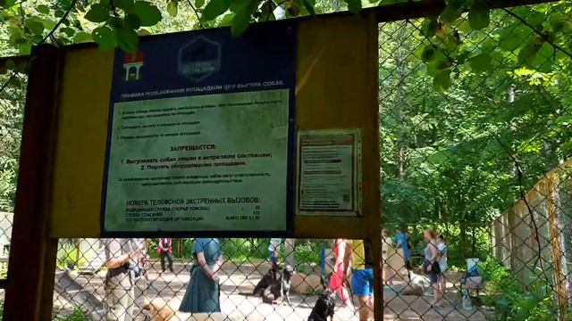 Пироговский лесопарк. Мытищи.