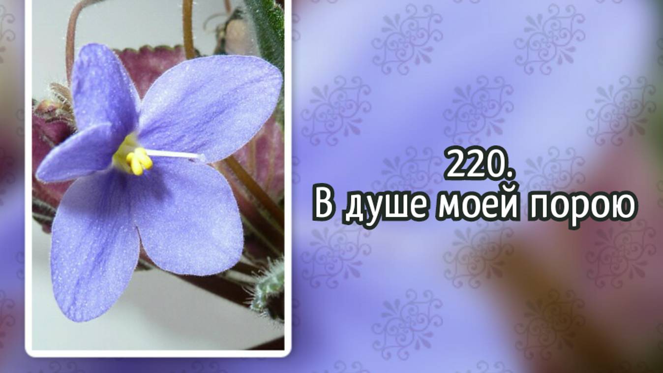 Гимны надежды 220 В душе моей порою (-)