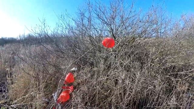 Поиск триангуляров. Окрестности хутора Косинов | Searching For Triangulators. Kosinov Outskirts