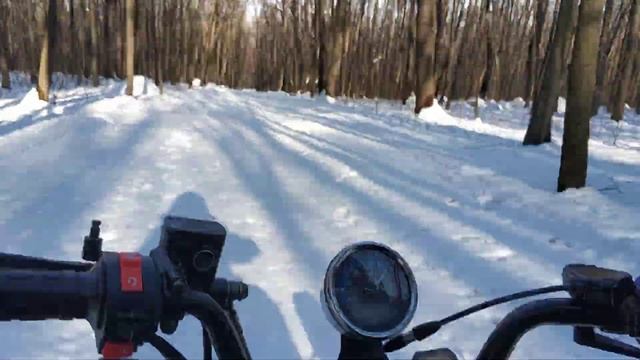 Irbis Dingo t110 в лесу смотреть онлайн