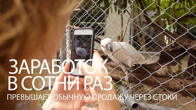 Photogram_ способы заработать_заработать девушке_заработать интернет.Как заработать на фотографиях