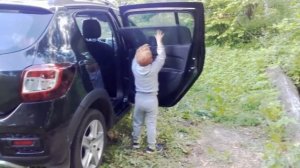 Вся правда  про Солнцезащитные автошторки трокот шторка сетка для окон автомобиля