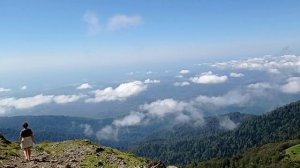 альпийские луга Абхазии