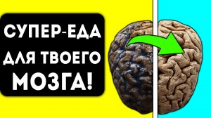 Будешь соображать даже в 99! Вот что творят ЭТИ обычные продукты с мозгом