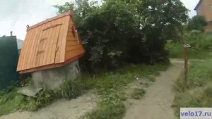 Пруды в Богданихе