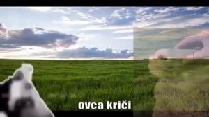 Корова танцует под музыку (межславянский язык). Видео мем