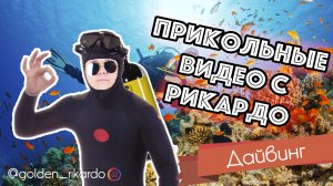 [Дайвинг] Сезон 2 Выпуск #31 Комедийный СЕРИАЛ про Рикардо Золотиньо