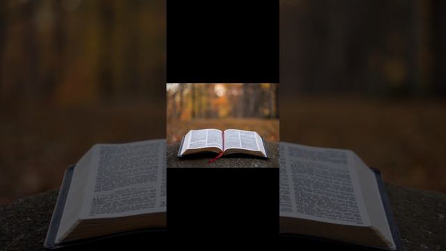 Євангеліє на щодень 8 листопада Лк 10,16-21 смотреть онлайн