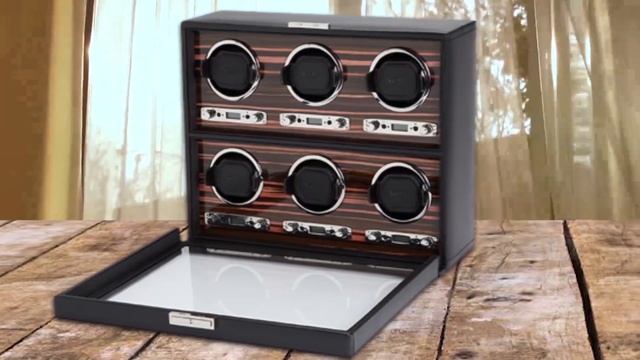 Top 6 Best Watch Winder for Rolex (2023)
