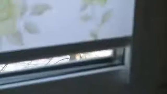 Кассетные рулонные шторы одно целое с вашим окном смотреть онлайн