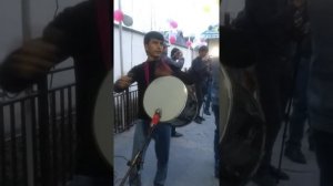 Гурухи ситора туя девона кард