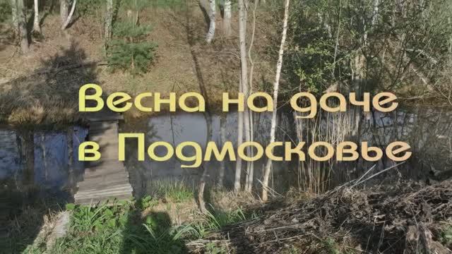 ВЕСНА В ПОДМОСКОВЬЕ