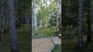 Как провести выходные в Zavidovo Radisson. Большая прогулка по территории курорта Завидово.