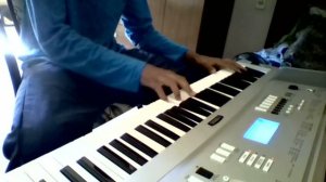 Teclado Yamaha DGX 230 Piano