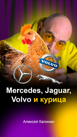 Mercedes, Jaguar, Volvo и курица