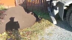 Доставка чернозема 10 тонн