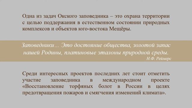Видеоресурс «Окский государственный природный биосферный заповедник» смотреть онлайн