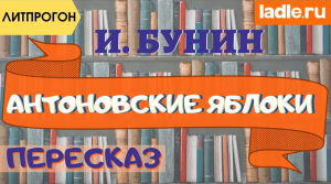 Что хотел сказать Бунин? Разбираем непонятные слова. Краткое содержание рассказа Антоновские яблоки