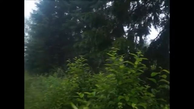 Быстра и Зарёв по росе смотреть онлайн