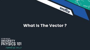 What Is The Vector